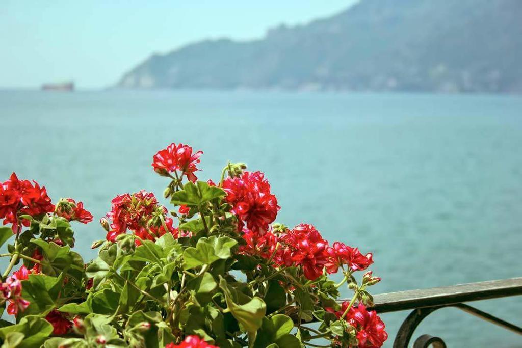 Fronte Del Mare Salerno